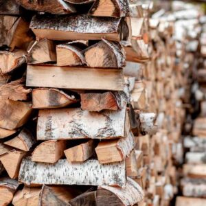 Seasoned White Birch - Firewood Delivery in Philadelphia PA and North Shore of Chicago Suburbs